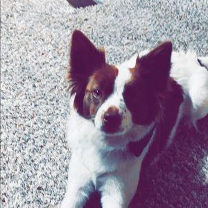 Meet your Posher, Raylee